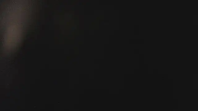 Snapshot of Fancy_Vixen chatting on 02/27/26, 03:50 Fancy Vixen online show from 02/27/26, 03:50