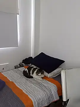 Snapshot of Nikolth_4 chatting on 02/04/26, 03:18 Nikolth 4 online show from 02/04/26, 03:18