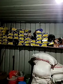 Snapshot of Krishna-10 chatting on 02/02/26, 01:54 Krishna-10 online show from 02/02/26, 01:54