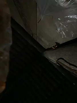 Snapshot of bikhidj chatting on 04/13/26, 06:02 bikhidj online show from 04/13/26, 06:02