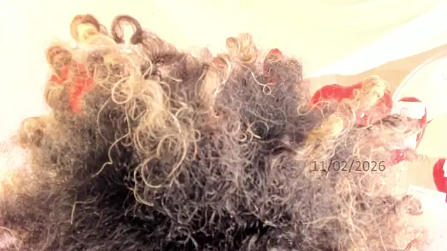 Snapshot of Brit_weston chatting on 02/11/26, 09:42 Brit weston online show from 02/11/26, 09:42