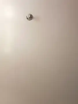 Snapshot of Cati_cat3 chatting on 02/07/26, 04:43 Cati cat3 online show from 02/07/26, 04:43