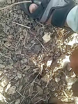 Cute Boy 4 online show from 02/12/26, 11:16