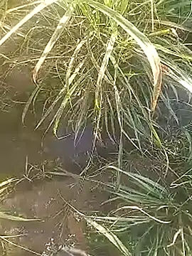 Cute Boy 4 online show from 02/27/26, 02:44