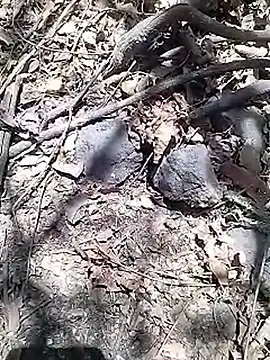 Cute Boy 4 online show from 04/15/26, 08:10