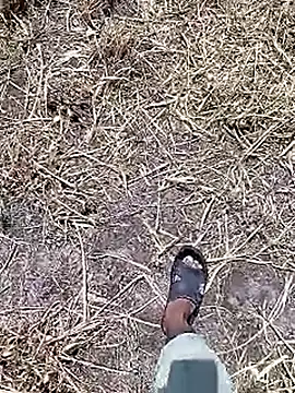 Cute Boy 4 online show from 04/18/26, 07:45