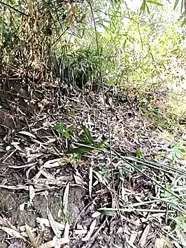 Snapshot of Suka-222 chatting on 02/26/26, 01:59 Suka-222 online show from 02/26/26, 01:59