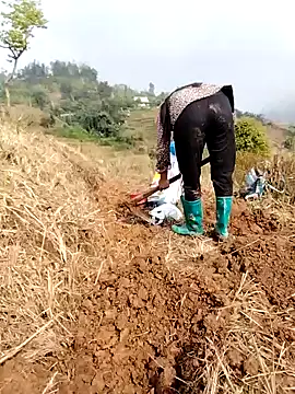 Tina-beo online show from 03/24/26, 01:43