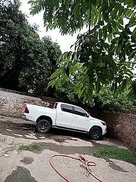 Snapshot of leo85rf chatting on 02/05/26, 07:18 leo85rf online show from 02/05/26, 07:18