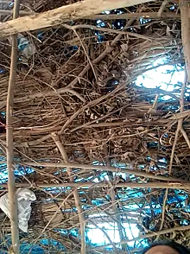 Snapshot of Rajni248096 chatting on 03/12/26, 07:58 Rajni248096 online show from 03/12/26, 07:58