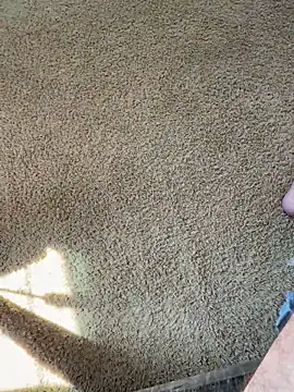 bwcjay2026 online show from 03/16/26, 06:34