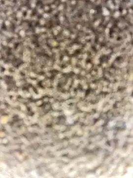 Namipeitudinha online show from 02/16/26, 04:58