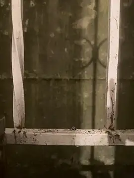 Snapshot of Diggaoder chatting on 04/21/26, 03:46 Diggaoder online show from 04/21/26, 03:46