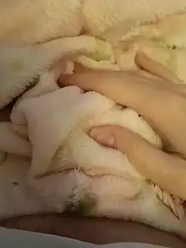 Snapshot of CutxeFrench chatting on 03/02/26, 10:33 CutxeFrench online show from 03/02/26, 10:33