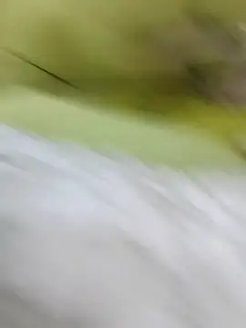 Snapshot of ONixCris chatting on 02/20/26, 05:24 ONixCris online show from 02/20/26, 05:24