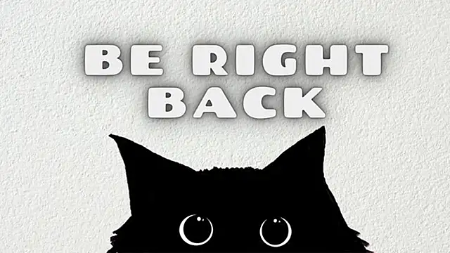  Mostly  online show from 02/24/26, 07:39
