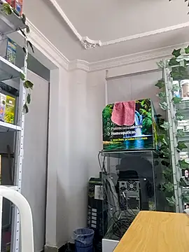 Tatianna Loove  online show from 02/17/26, 02:35