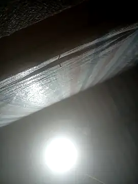 Snapshot of Momo-biki chatting on 02/22/26, 12:47 Momo-biki online show from 02/22/26, 12:47