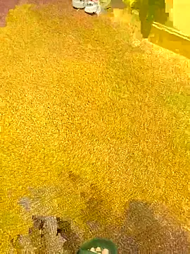 Snapshot of michaarMichaels chatting on 04/05/26, 06:54 michaarMichaels online show from 04/05/26, 06:54