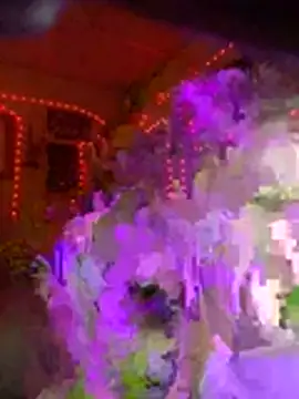 lilred808 online show from 02/07/26, 02:26