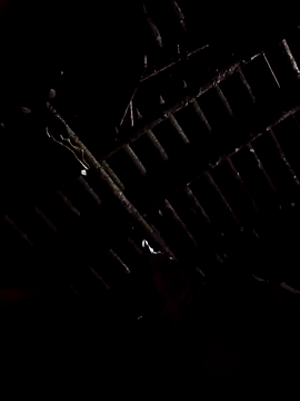 alex callmemaybe69 online show from 02/09/26, 09:30