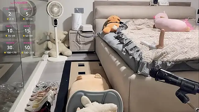 yyds-8 online show from 02/12/26, 03:56