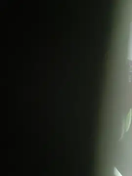 Gordinho dos pes online show from 02/25/26, 02:10