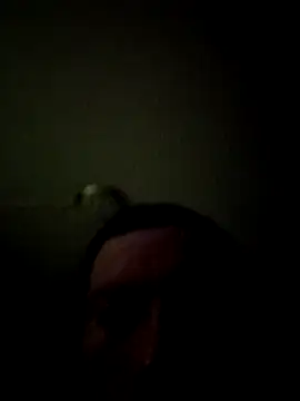 bigbooietx online show from 03/01/26, 08:05