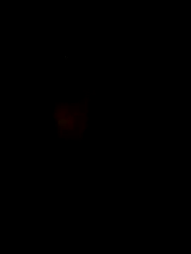S7LEALTADPERVLIMA7 online show from 04/12/26, 05:01