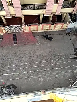 Snapshot of Castrol1289 chatting on 02/11/26, 03:00 Castrol1289 online show from 02/11/26, 03:00