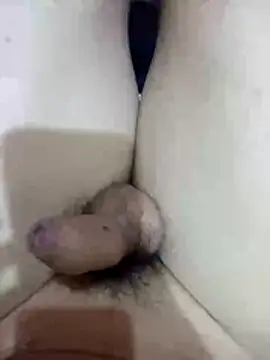 Snapshot of dallm5 chatting on 03/05/26, 01:45 dallm5 online show from 03/05/26, 01:45