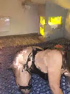 Snapshot of joujou95012 chatting on 04/15/26, 07:43 joujou95012 online show from 04/15/26, 07:43