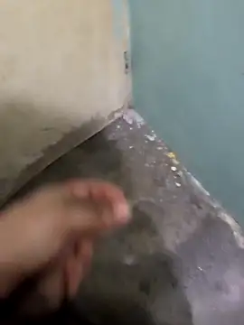 Snapshot of tortolito201 chatting on 02/08/26, 02:48 tortolito201 online show from 02/08/26, 02:48