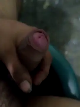 Snapshot of tortolito201 chatting on 02/11/26, 07:46 tortolito201 online show from 02/11/26, 07:46