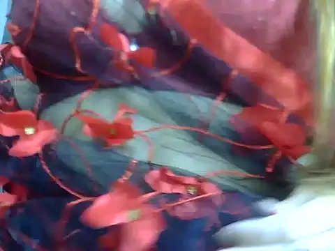 Snapshot of anvika_1709 chatting on 02/10/26, 04:33 anvika 1709 online show from 02/10/26, 04:33