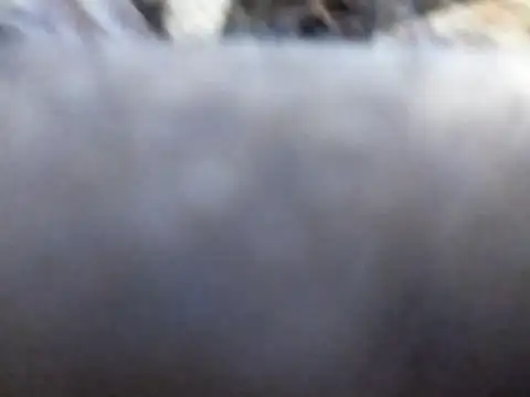 Joecool1009 online show from 02/03/26, 12:31