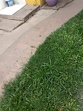 Snapshot of gordorichard chatting on 02/04/26, 04:46 gordorichard online show from 02/04/26, 04:46