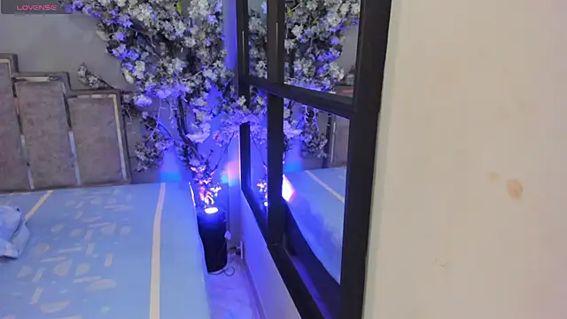 Snapshot of Nalapalmer chatting on 02/07/26, 07:39 Nalapalmer online show from 02/07/26, 07:39