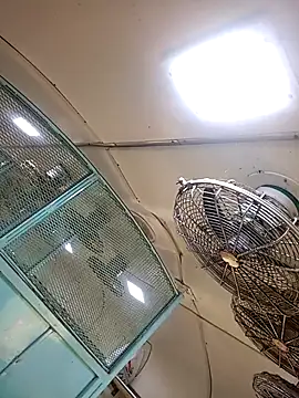 Talkwithsex online show from 02/04/26, 02:39