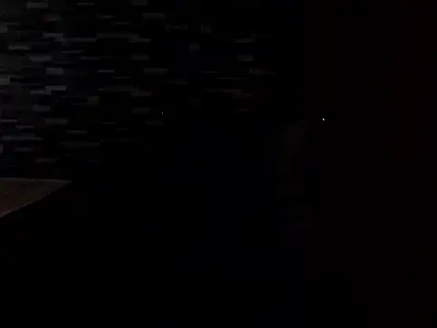 PennyUni online show from 02/13/26, 01:23