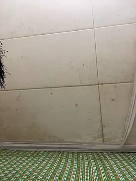 Miu Xinh online show from 04/07/26, 06:19