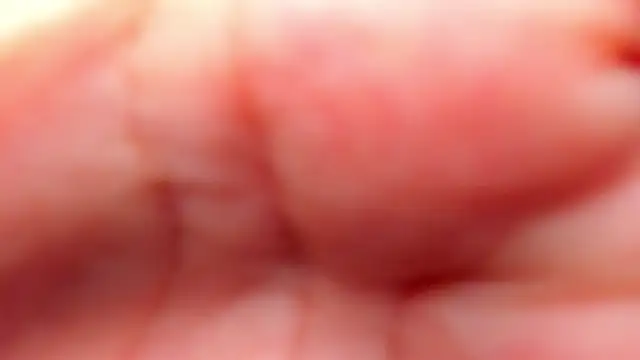 Snapshot of RinaFox__ chatting on 02/21/26, 01:17 RinaFox online show from 02/21/26, 01:17