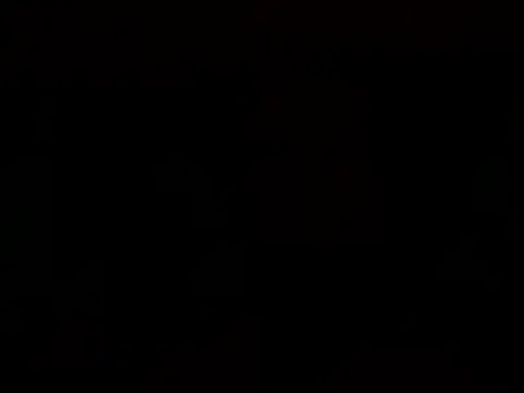 Snapshot of Tommyzzzzzz chatting on 12/29/24, 02:17 Tommyzzzzzz online show from 12/29/24, 02:17