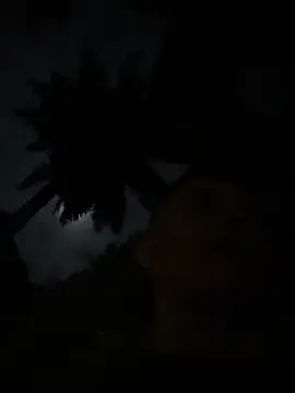 Gael Velaryx online show from 04/02/26, 03:15