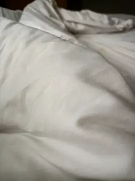 lucky9161 online show from 02/17/26, 03:25