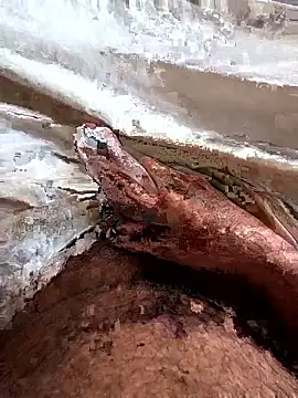 Snapshot of manish_8826 chatting on 04/06/26, 01:36 manish 8826 online show from 04/06/26, 01:36