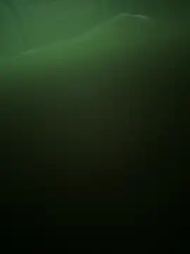 Snapshot of Apollonios5 chatting on 04/11/26, 04:06 Apollonios5 online show from 04/11/26, 04:06