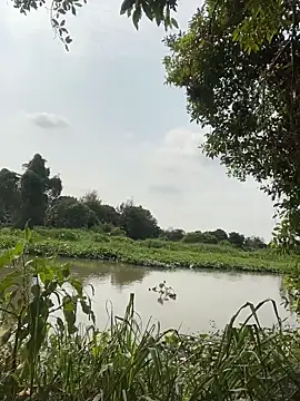 Snapshot of Lewd_couple chatting on 04/20/26, 02:14 Lewd couple online show from 04/20/26, 02:14