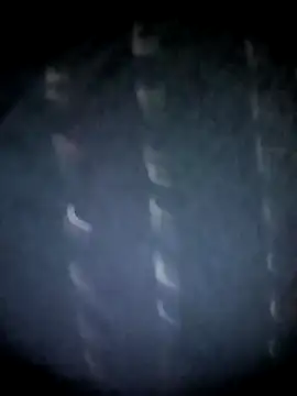 Snapshot of BIG_QWEEN_NO1 chatting on 03/12/26, 10:49 BIG QWEEN NO1 online show from 03/12/26, 10:49