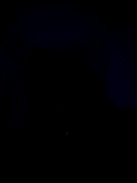 Telugucouple69 online show from 02/15/26, 10:17